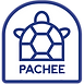 Pachee store