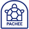 Pachee store